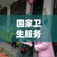国家卫生服务规范：国家卫生服务模式的主要特征 