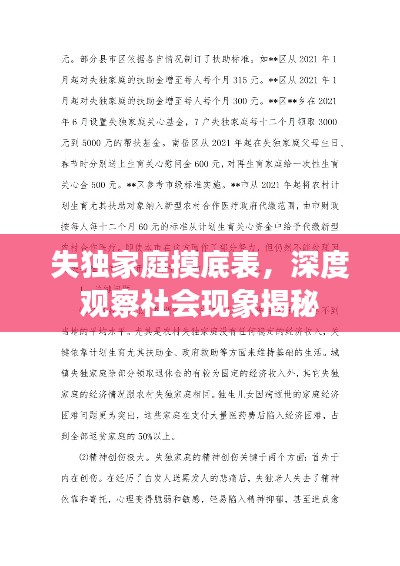 失独家庭摸底表，深度观察社会现象揭秘