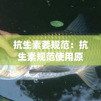 抗生素要规范：抗生素规范使用原则 