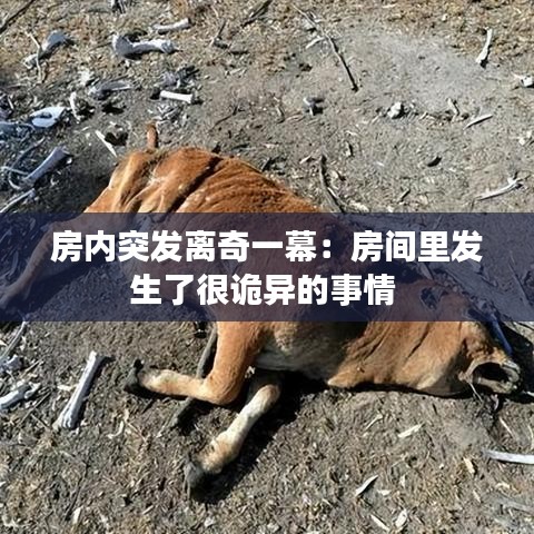 房内突发离奇一幕：房间里发生了很诡异的事情 