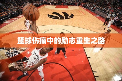 篮球伤痛中的励志重生之路