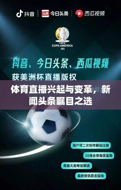 手不释卷 第2页