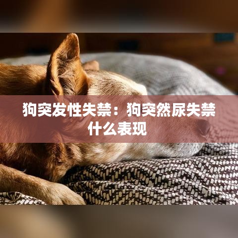 飞来横祸 第2页