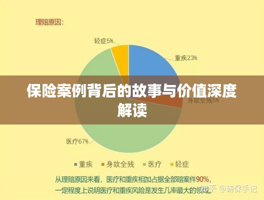 保险案例背后的故事与价值深度解读