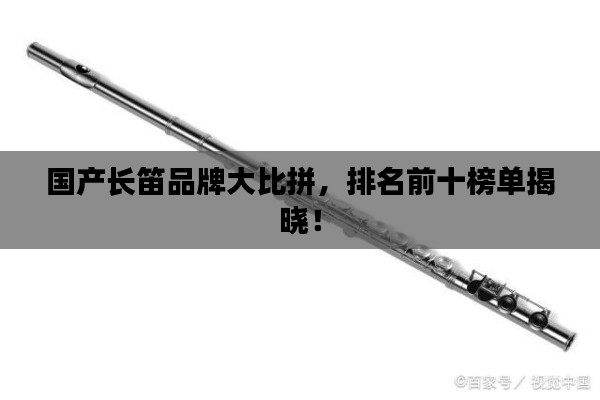 国产长笛品牌大比拼,排名前十榜单揭晓!