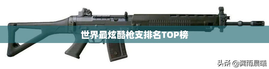 世界最炫酷枪支排名TOP榜