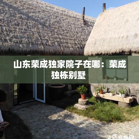 披肝沥胆 第2页