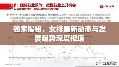 独家揭秘，女排最新动态与发展趋势深度报道