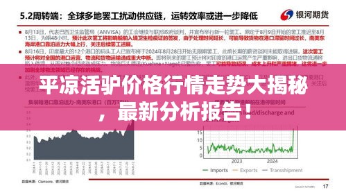 平凉活驴价格行情走势大揭秘,最新分析报告!