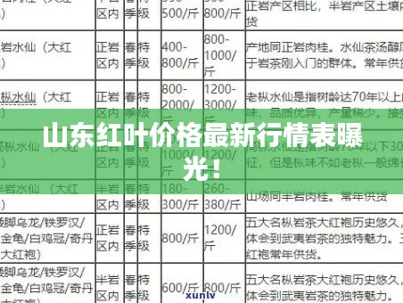 山东红叶价格最新行情表曝光！