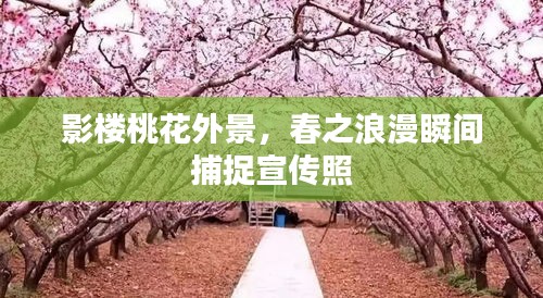 影楼桃花外景，春之浪漫瞬间捕捉宣传照