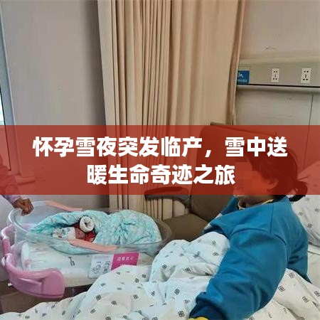 龙飞九五 第2页