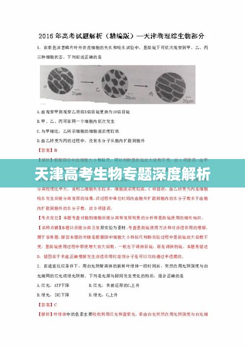 芳兰竟体 第2页