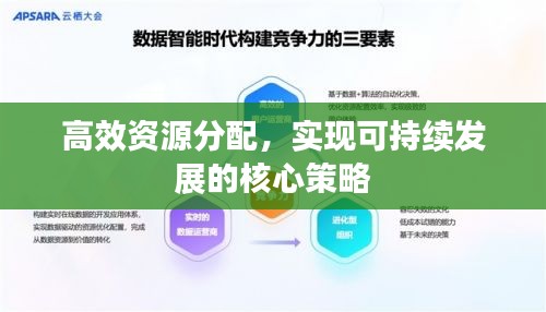 高效资源分配，实现可持续发展的核心策略
