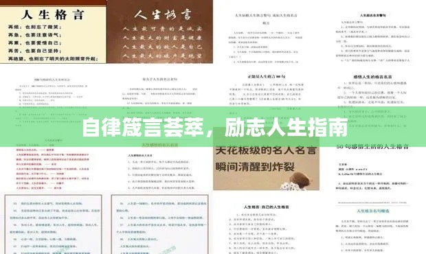 矫揉造作 第2页