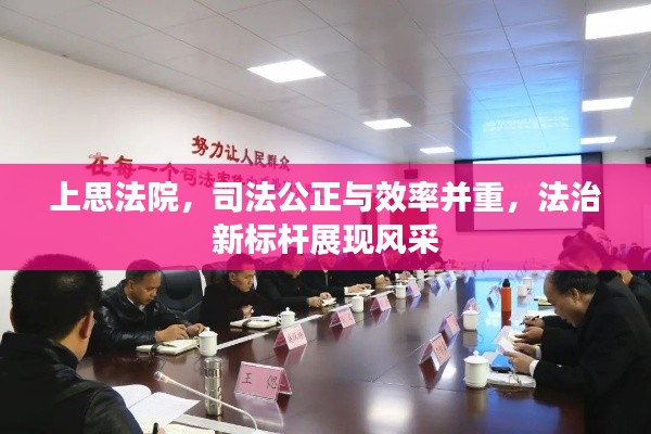上思法院，司法公正与效率并重，法治新标杆展现风采