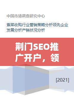 荆门SEO推广开户，领跑地区营销，打造领先在线战略