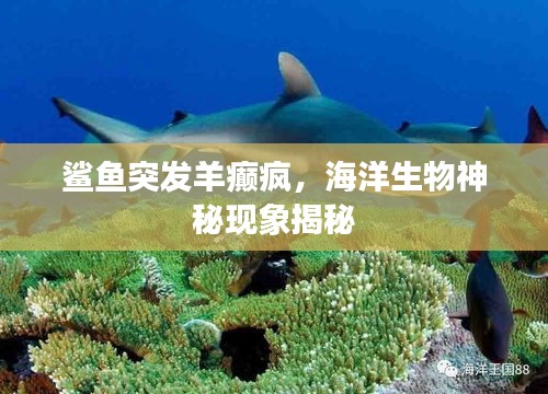 狐假虎威 第2页