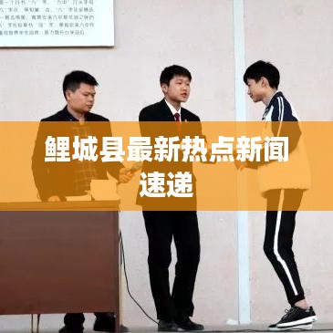 鲤城县最新热点新闻速递