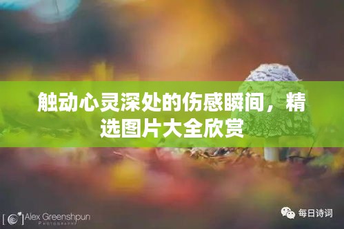 触动心灵深处的伤感瞬间，精选图片大全欣赏