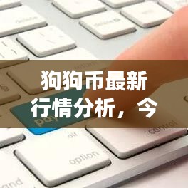 狗狗币最新行情分析，今日价格走势一网打尽！