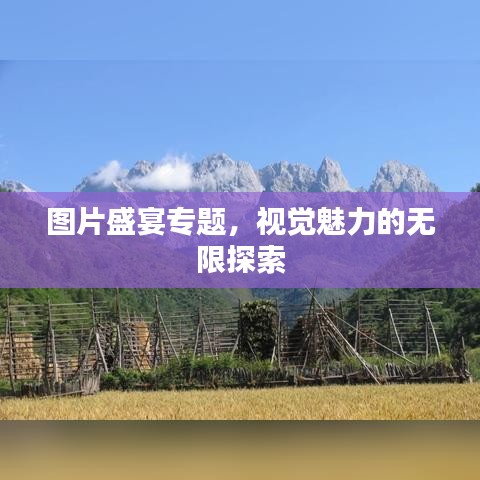 图片盛宴专题，视觉魅力的无限探索