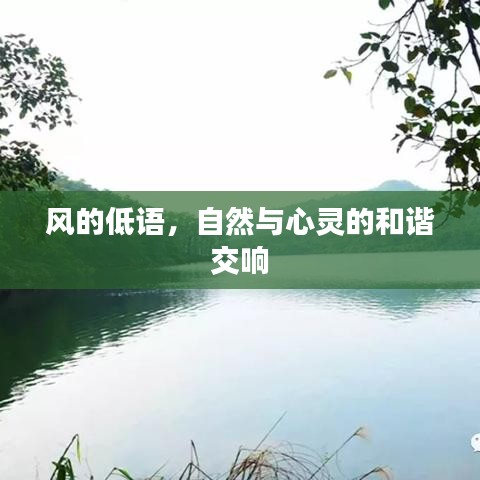 雍容雅步