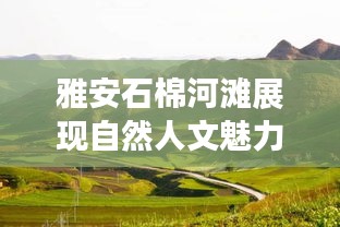步履如飞