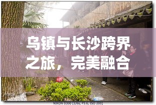矫枉过正