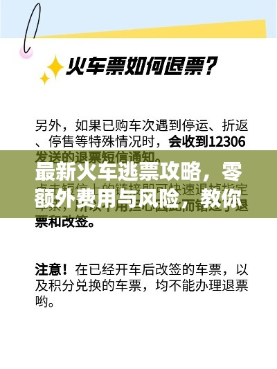 2025年5月17日 第3页