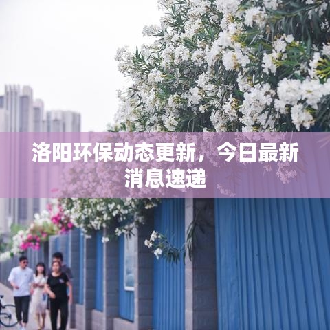 2025年5月20日