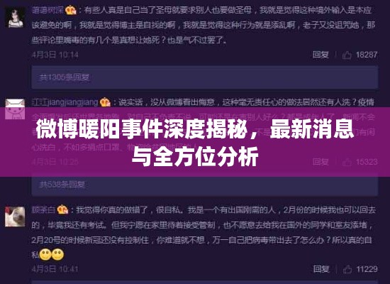 微博暖阳事件深度揭秘，最新消息与全方位分析
