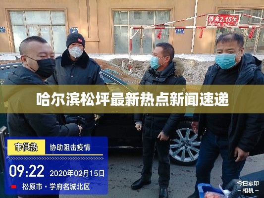 哈尔滨松坪最新热点新闻速递