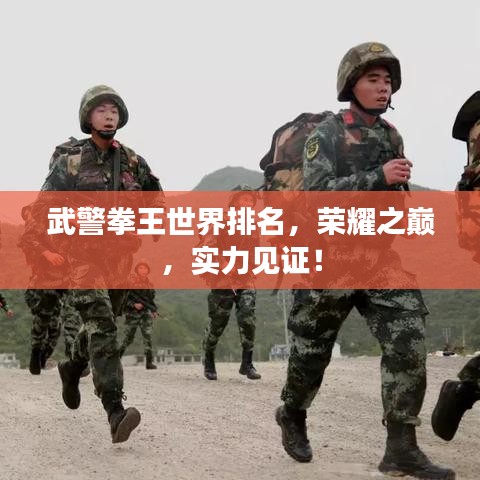 武警拳王世界排名，荣耀之巅，实力见证！