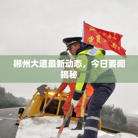 郴州大道最新动态，今日要闻揭秘