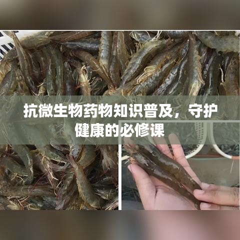 抗微生物药物知识普及，守护健康的必修课