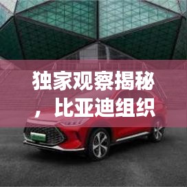 独家观察揭秘，比亚迪组织深度调整背后的战略意图
