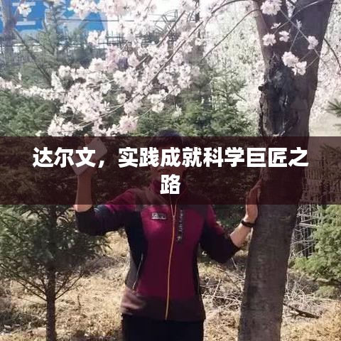 2025年6月 第113页