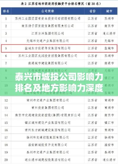 泰兴市城投公司影响力排名及地方影响力深度解析