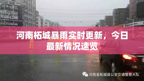 河南柘城暴雨实时更新，今日最新情况速览