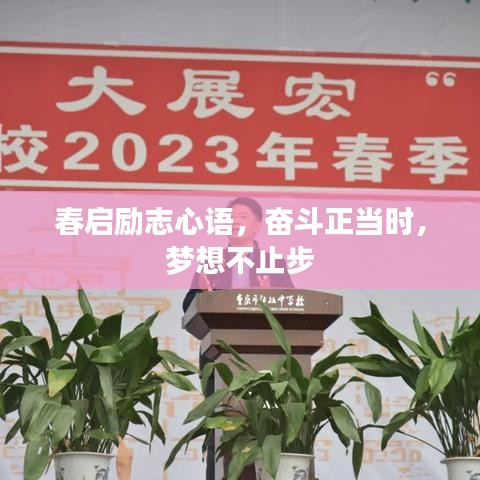 2025年6月 第97页