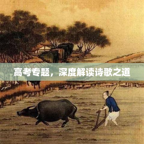 高考专题，深度解读诗歌之道