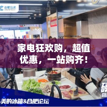 家电狂欢购，超值优惠，一站购齐！