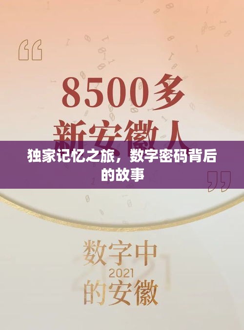 2025年6月8日 第5页