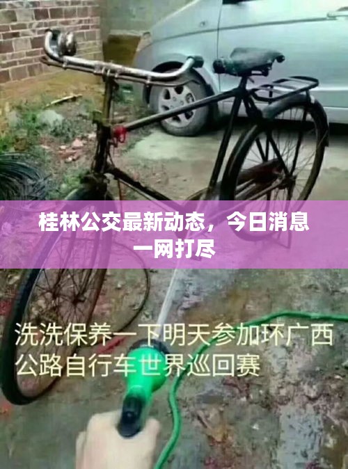 桂林公交最新动态，今日消息一网打尽