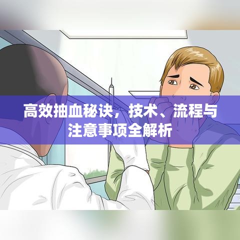 高效抽血秘诀，技术、流程与注意事项全解析