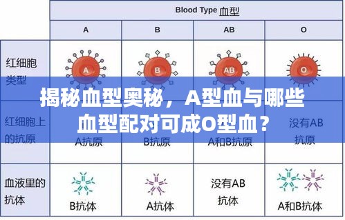 揭秘血型奥秘，A型血与哪些血型配对可成O型血？