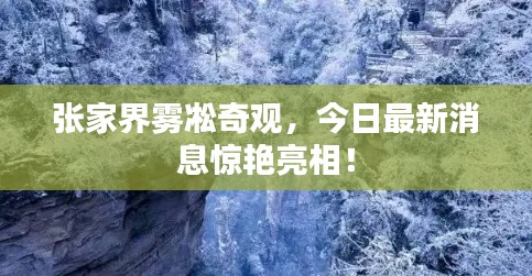 张家界雾凇奇观，今日最新消息惊艳亮相！