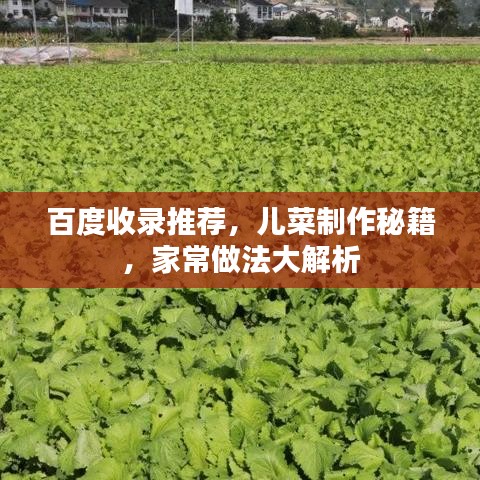 2025年6月9日 第5页