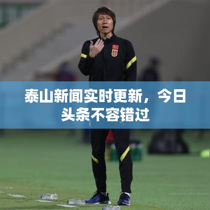 泰山新闻实时更新，今日头条不容错过